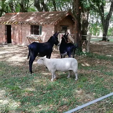Domaine De La Cote Aux Chats Oda ve Kahvaltı Montieramey