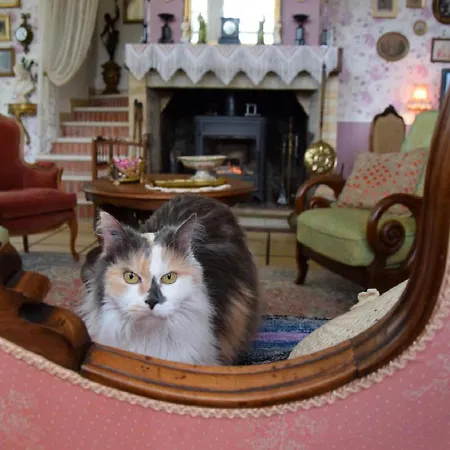 Oda ve Kahvaltı Domaine De La Cote Aux Chats Montieramey
