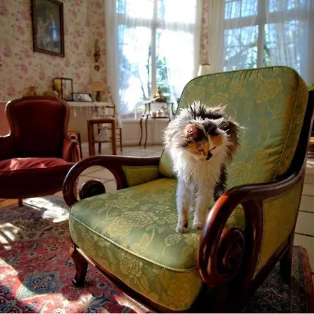 Domaine De La Cote Aux Chats