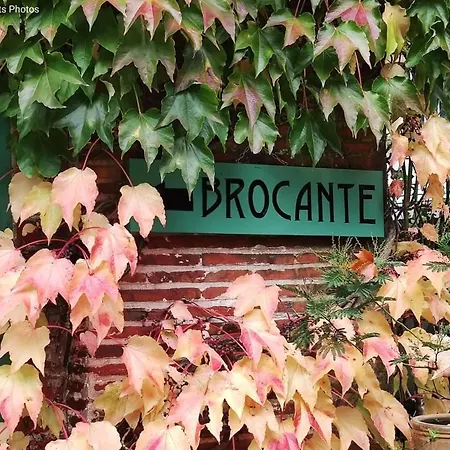 Domaine De La Cote Aux Chats