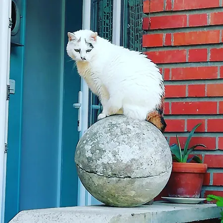 Oda ve Kahvaltı Domaine De La Cote Aux Chats